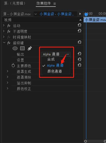 pr怎么选中部分区域导出截图3