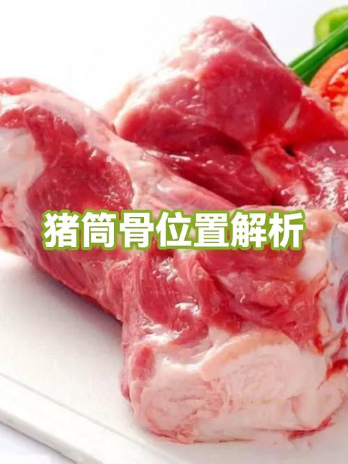 猪筒骨在哪个部位图解