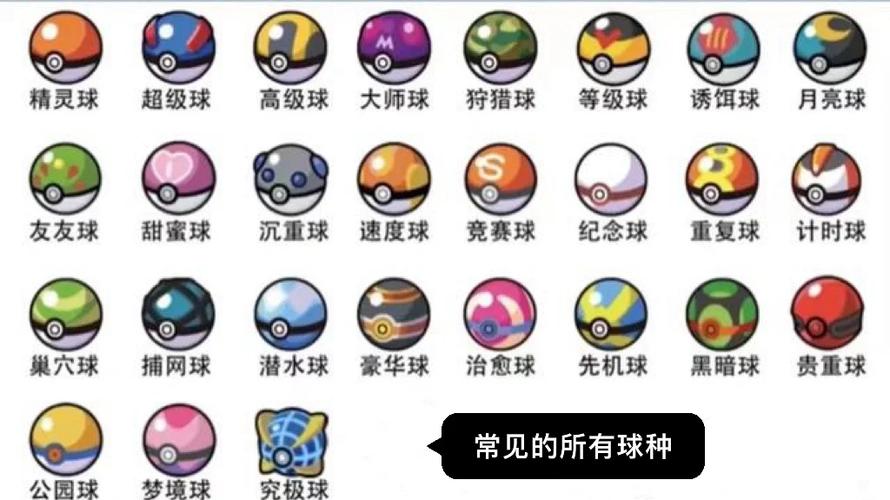 宝可梦有几部