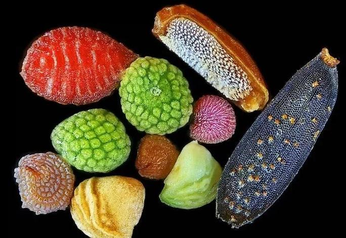 我的世界种子搜索网站