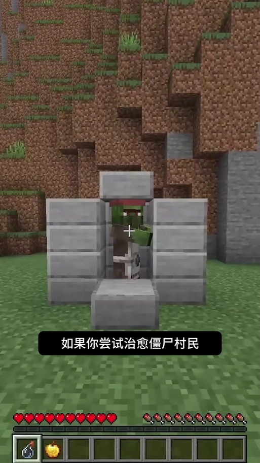 治愈僵尸村民的技巧截图2