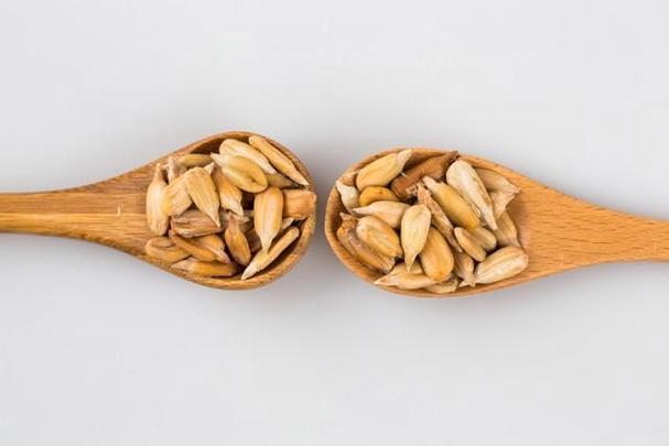小仓鼠能吃面包吗? 小仓鼠能吃面包吗?
