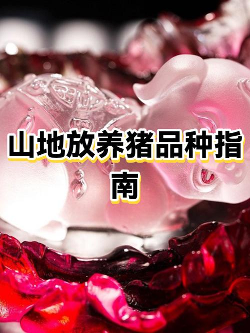 香猪的毒性有多强截图2
