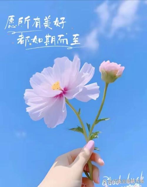 正能量励志的句子 正能量励志的句子