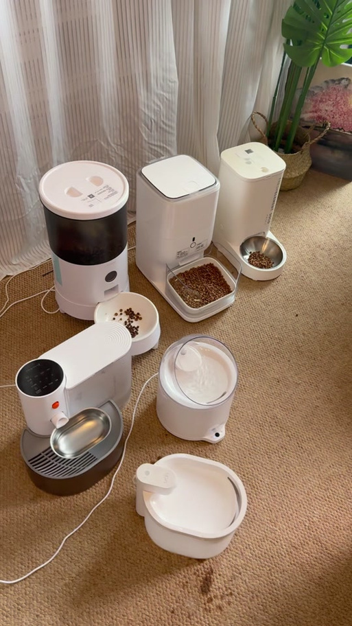 猫咪自动喂食器有必要吗