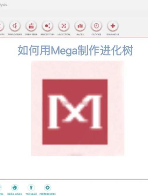 mega软件使用教程