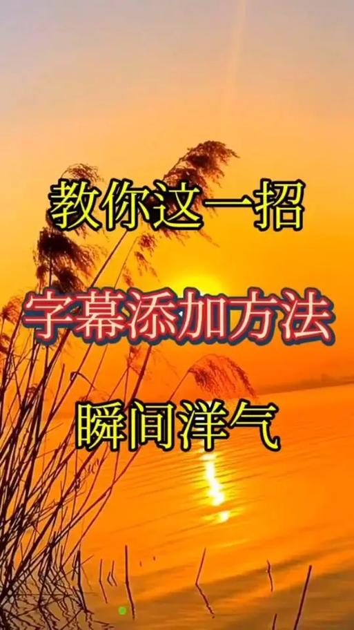 字幕网短视频截图1