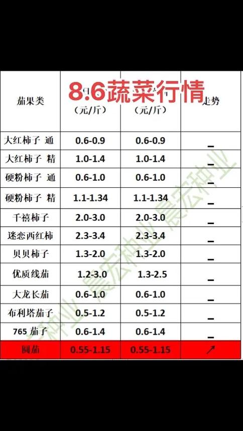 番茄一天能赚多少钱