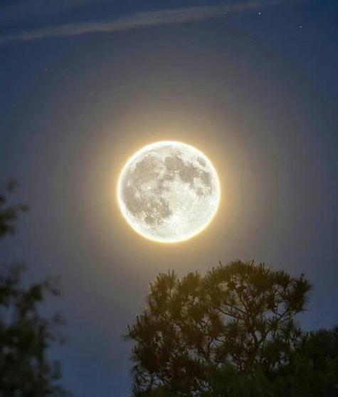 黑夜的67个雅称截图2