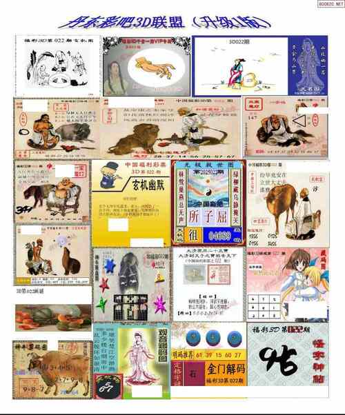 今天金门解码图谜