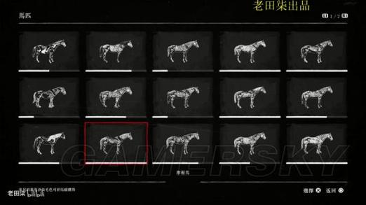 荒野大镖客2线上必买的马
