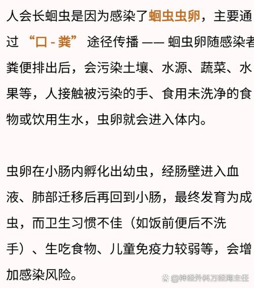 寄生虫寄生截图3