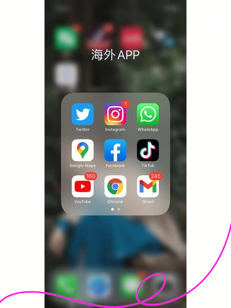 国外用什么软件截图3
