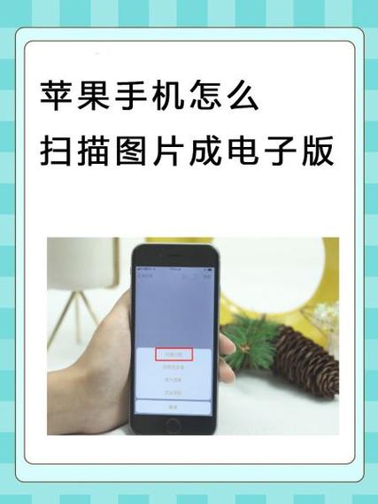扫描图片是什么意思截图2