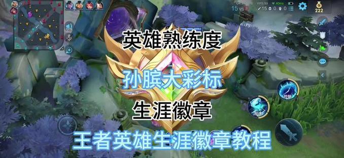 王者荣耀职业徽章快速升级方法截图2