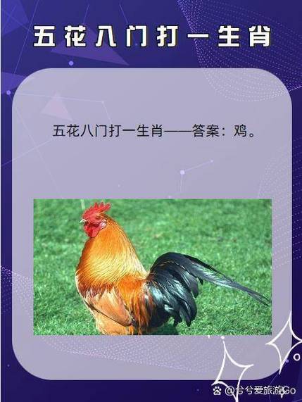 冲锋陷阵猜一生肖 冲锋陷阵猜一生肖
