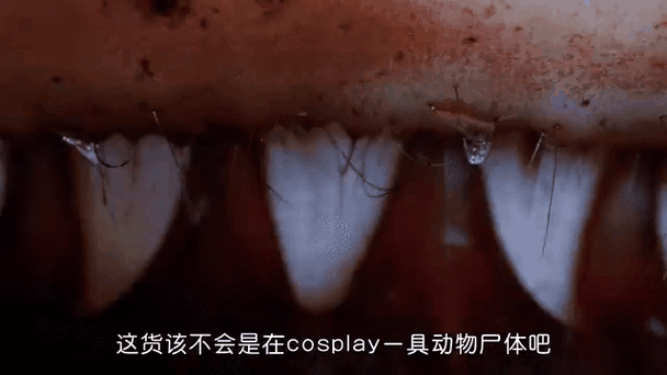 食人花能吃人吗截图2