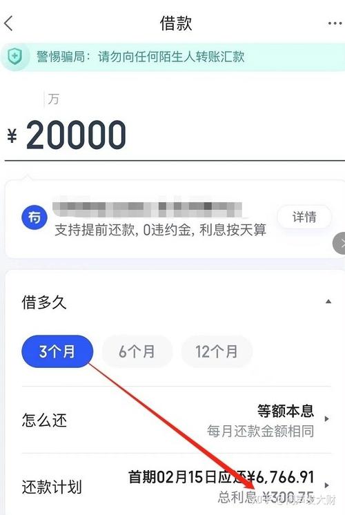 小鑫花什么时间借款截图3