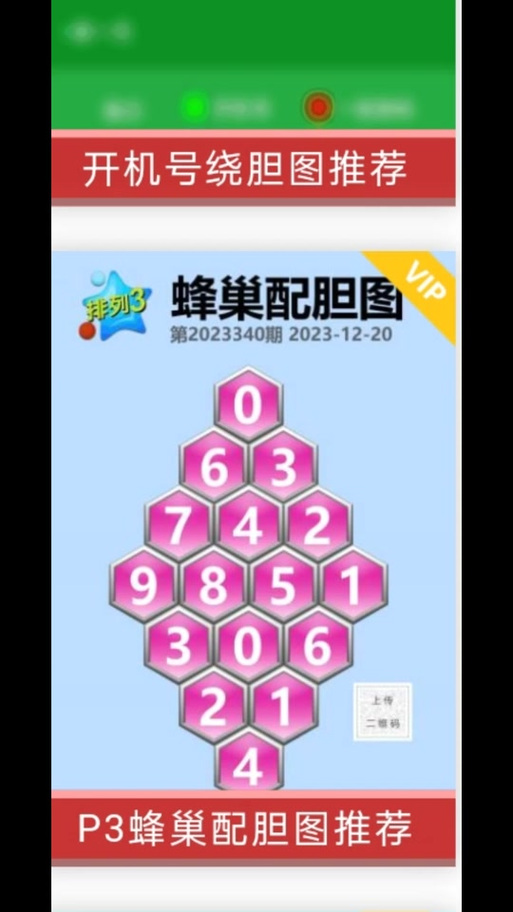 3D蜂巢配胆图2026 3D蜂巢配胆图2026