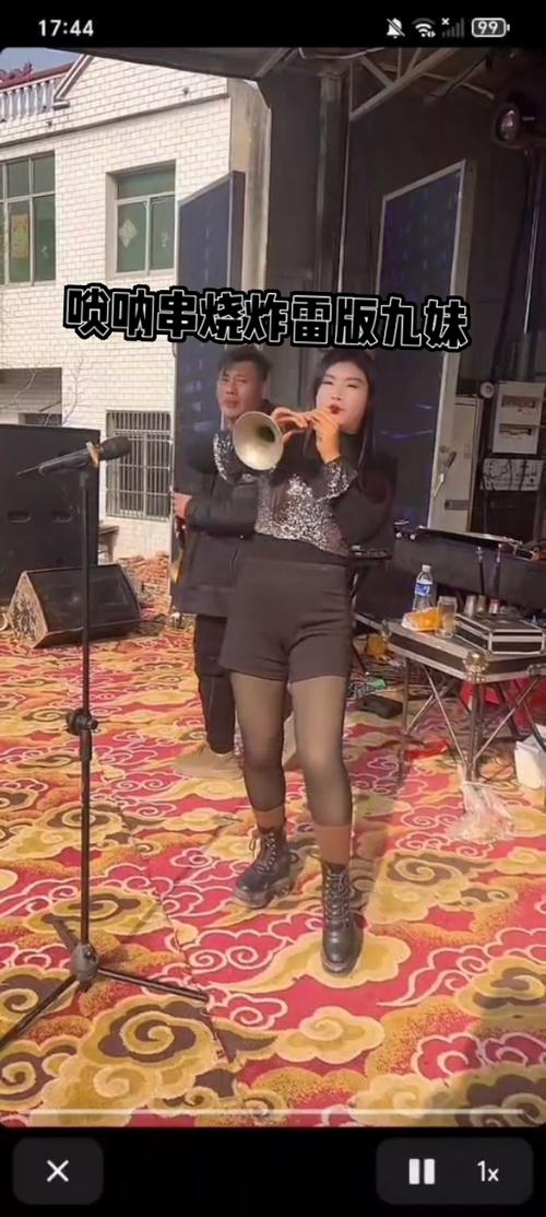 唢呐串烧DJ炸雷完整版