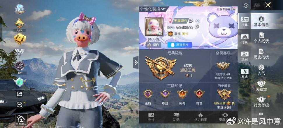 和平精英兵团可以转让队长嘛截图1