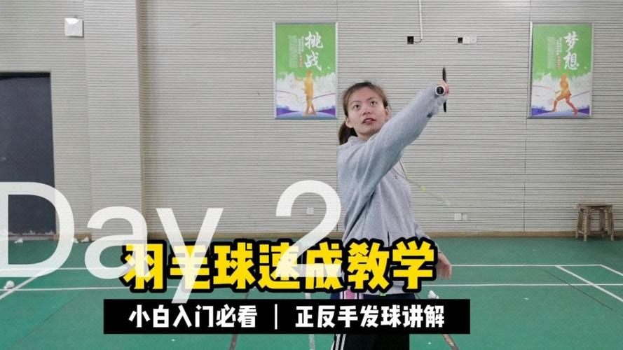 羽毛球速成图标