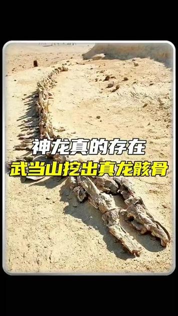 埋藏的龙骸骨在哪里
