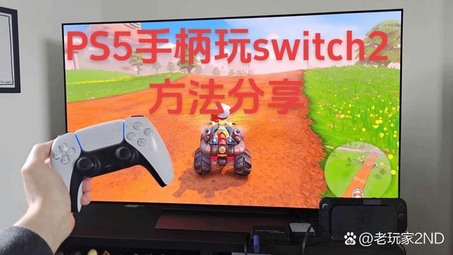 switch游戏手柄怎么玩截图2