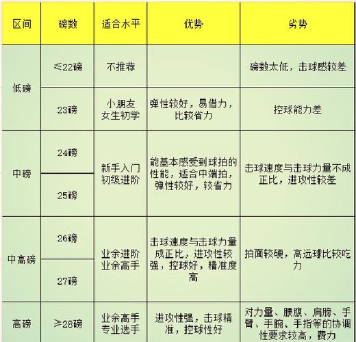 羽毛球拍25磅是什么意思图标