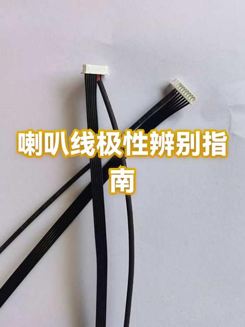 为什么两根喇叭线都是正极