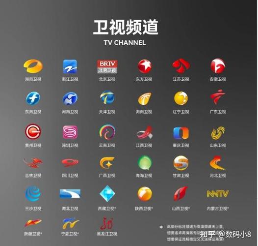 中央三频道在线直播观看截图2