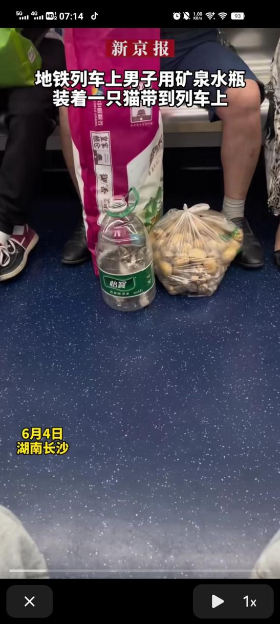 有猫包可以上地铁吗