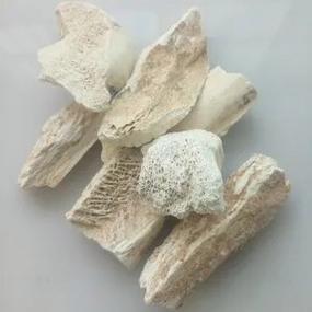 煅龙骨的功效与作用图片