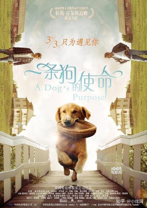 剧狗狗官网网页版