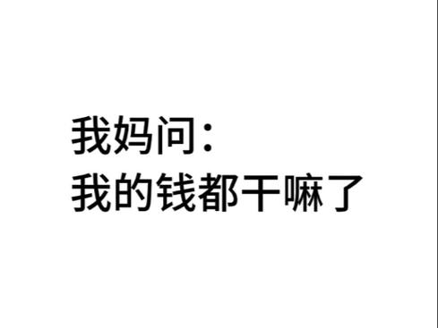 我玩梗贼6钱花哪儿了