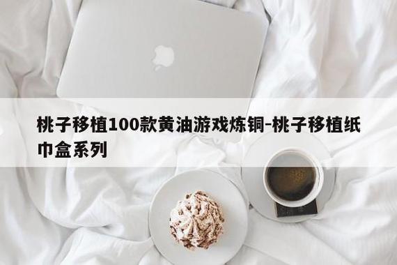 纸巾盒桃子移植100款黄油游戏截图2