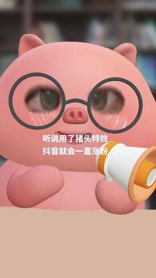 安卓抖音猪头特效教程