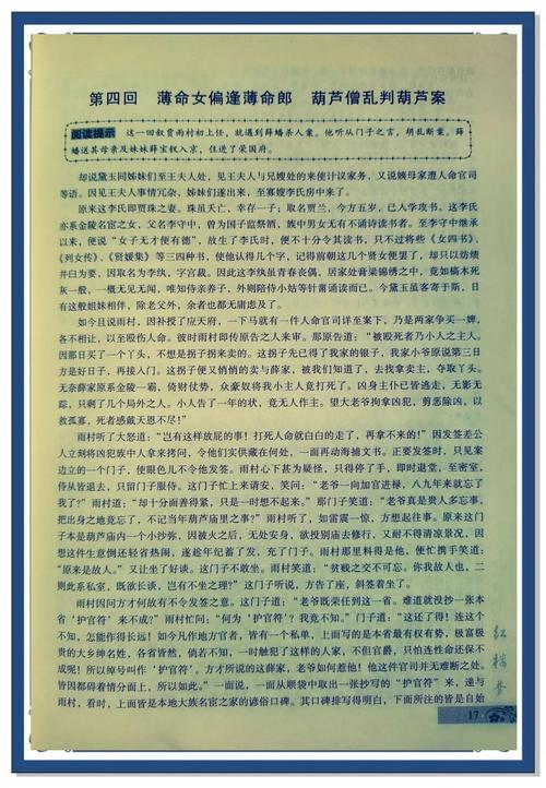 慈母蓬门为儿开小说截图3