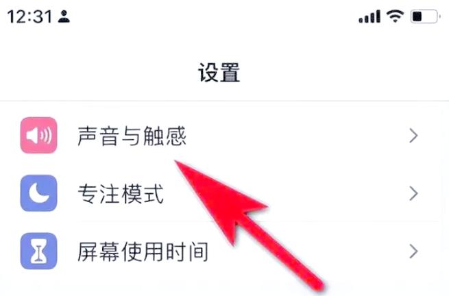 怎么关闭苹果手机充电提示音截图2