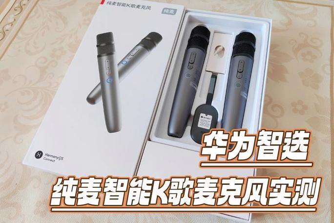 纯麦麦克风怎么使用截图3