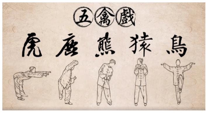 五禽戏12个动作