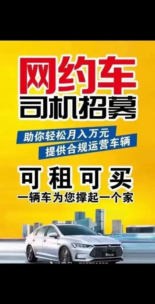 司机招聘c1私人司机截图2