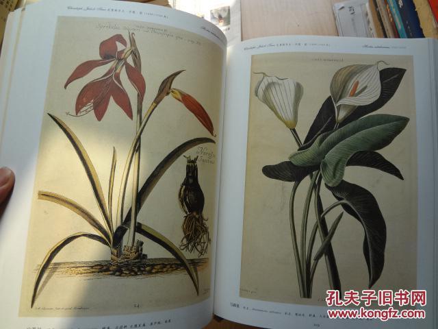 飘香书苑小说截图2