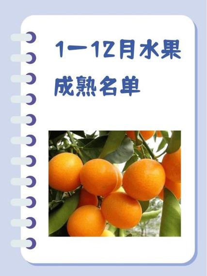 柠檬多久成熟