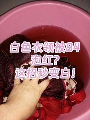 羊毛衣服可以用漂白水吗截图1