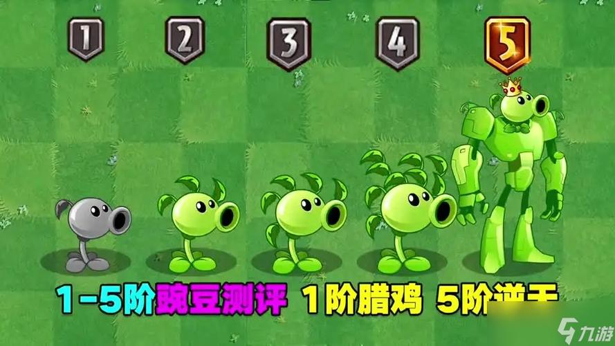 植物大战僵尸怎么获得五阶植物