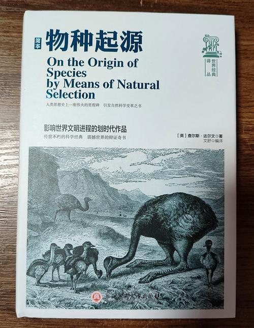 物种起源最快零母攻略