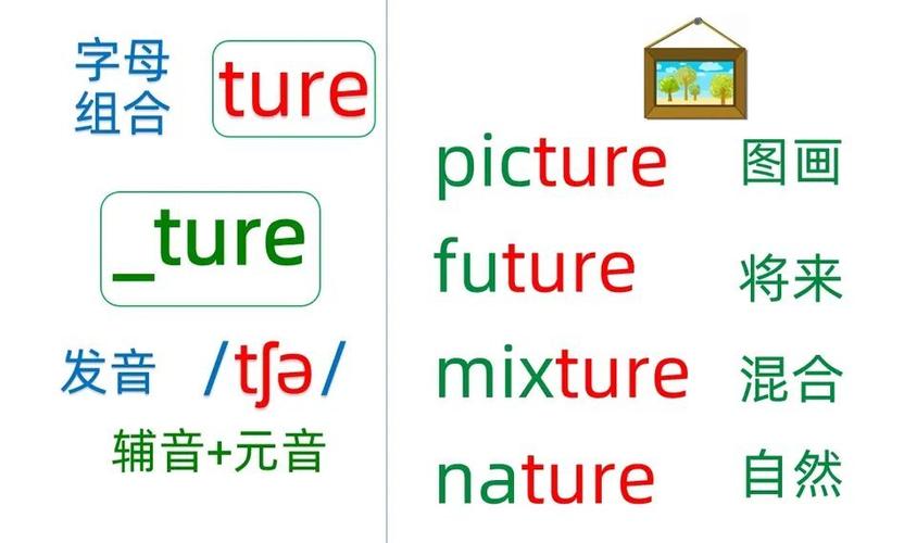 ture正确发音截图1