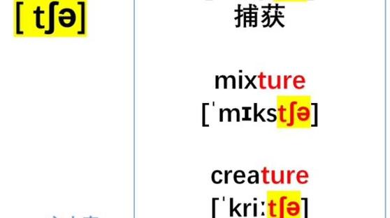 ture正确发音截图2
