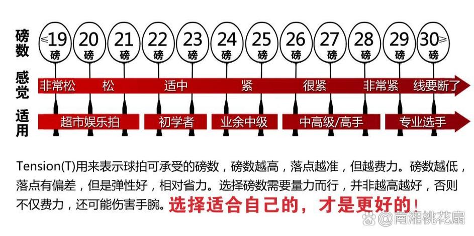 羽毛球拍25磅是什么意思截图1